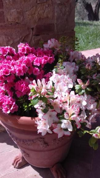 Agriturismo Marinella Amelia Extérieur photo
